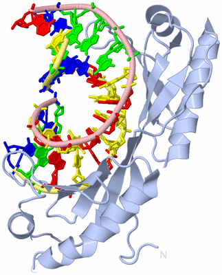 Image Biological Unit 1