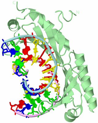 Image Biological Unit 2