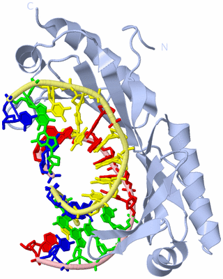 Image Biological Unit 1