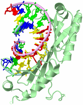 Image Biological Unit 2