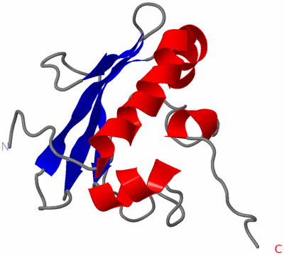 Image NMR Structure - model 1