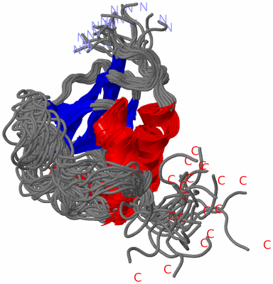 Image NMR Structure - all models