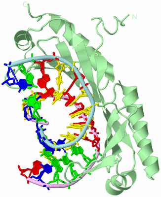 Image Biological Unit 2