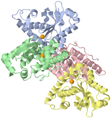 Image Asym./Biol. Unit