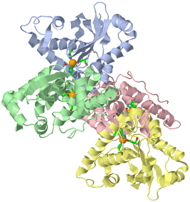 Image Asym./Biol. Unit - sites