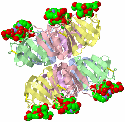 Image Biological Unit 1