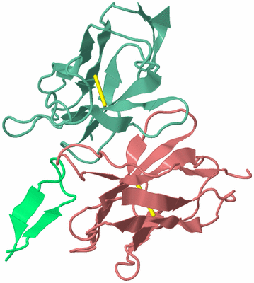 Image NMR Structure - model 1