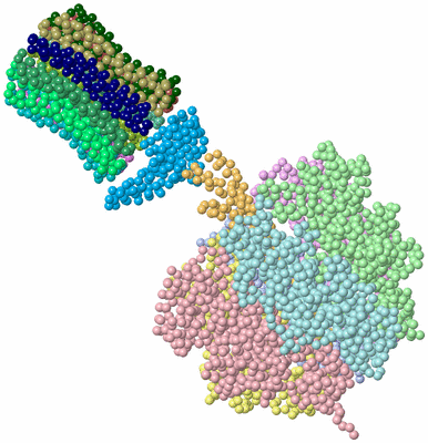 Image Asym./Biol. Unit