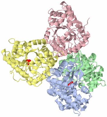 Image Biological Unit 1