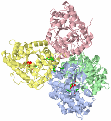 Image Biol. Unit 1 - sites