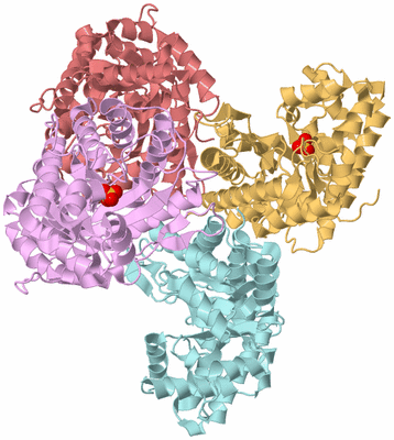 Image Biological Unit 2