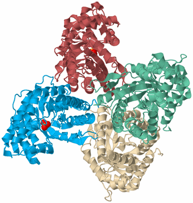 Image Biological Unit 3