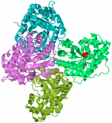 Image Biological Unit 4