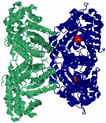 Image Biological Unit 5