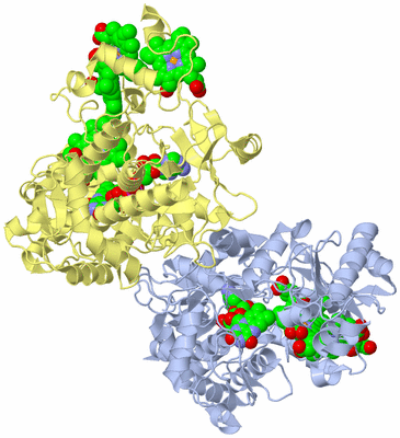 Image Asym./Biol. Unit