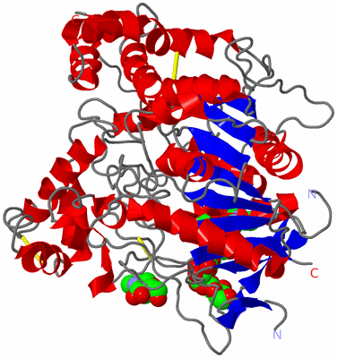 Image Asym./Biol. Unit