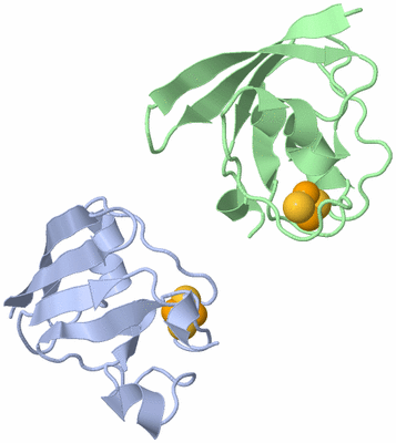 Image Asymmetric Unit