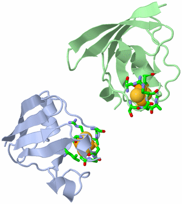 Image Asym. Unit - sites