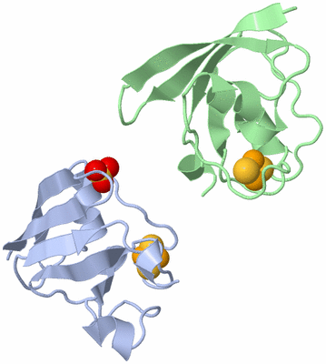 Image Asymmetric Unit