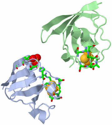 Image Asym. Unit - sites