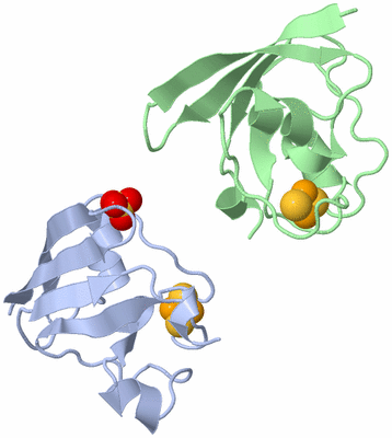 Image Asymmetric Unit