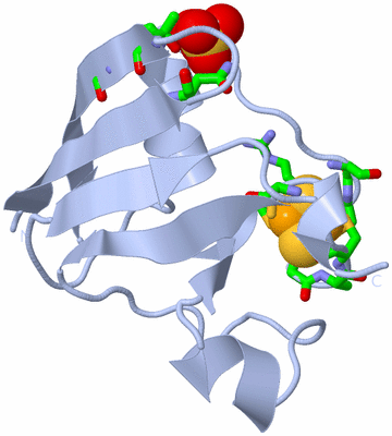 Image Biol. Unit 1 - sites