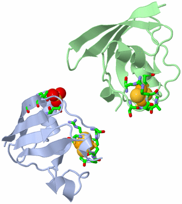 Image Asym. Unit - sites