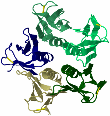 Image Biological Unit 4