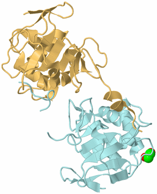 Image Biological Unit 3