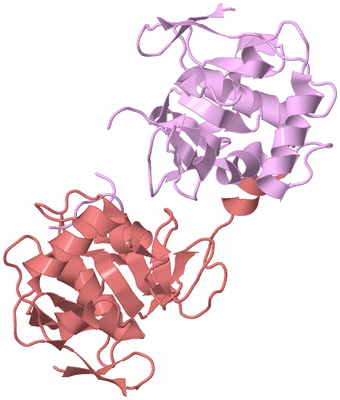 Image Biological Unit 4