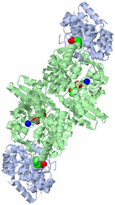 Image Biological Unit 1