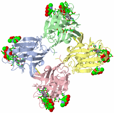 Image Asym./Biol. Unit - sites