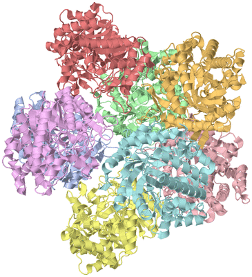 Image Biological Unit 1