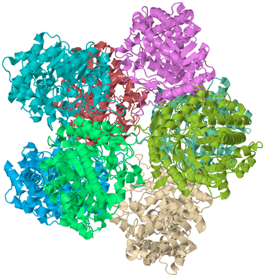 Image Biological Unit 2