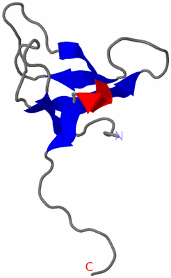 Image NMR Structure - model 1