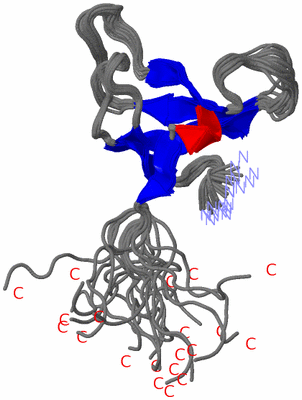 Image NMR Structure - all models