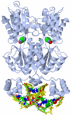 Image Biological Unit 1