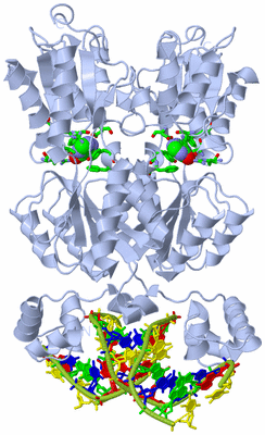 Image Biol. Unit 1 - sites