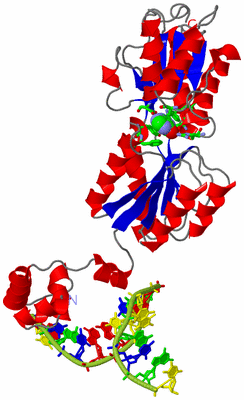 Image Asym. Unit - sites