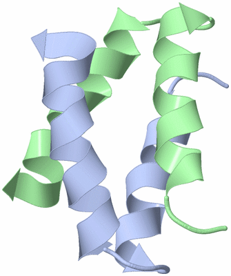 Image NMR Structure - model 1