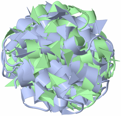 Image NMR Structure - all models