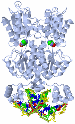 Image Biological Unit 1