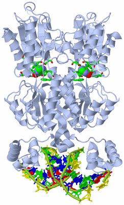 Image Biol. Unit 1 - sites