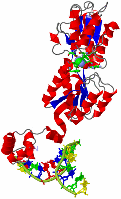 Image Asym. Unit - sites