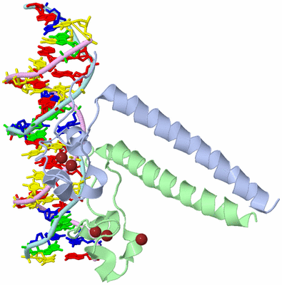 Image Biological Unit 1