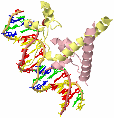 Image Biological Unit 2