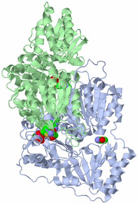 Image Biological Unit 2