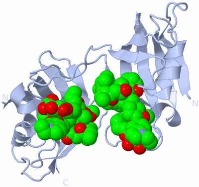Image Biological Unit 3