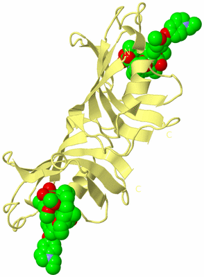 Image Biological Unit 4