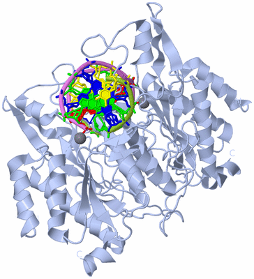 Image Biological Unit 1